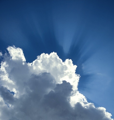 shutterstock_2198156