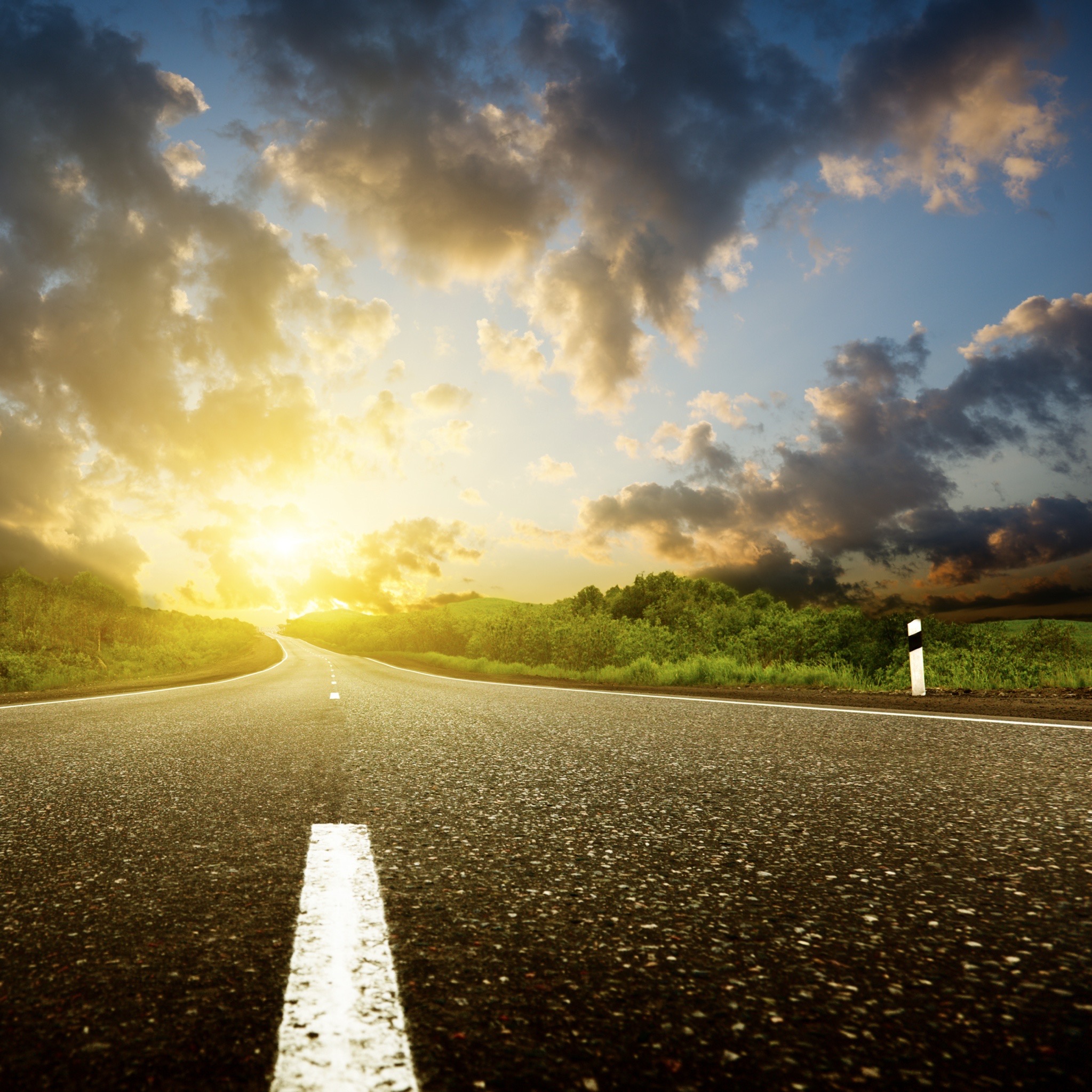 shutterstock_34187923